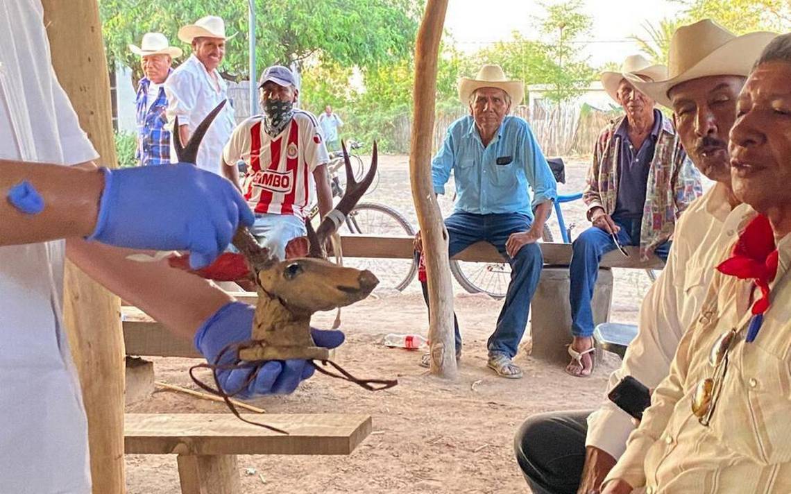 Yaquis Recuperan Piezas Ceremoniales Encontradas En Suecia - El Sol De ...